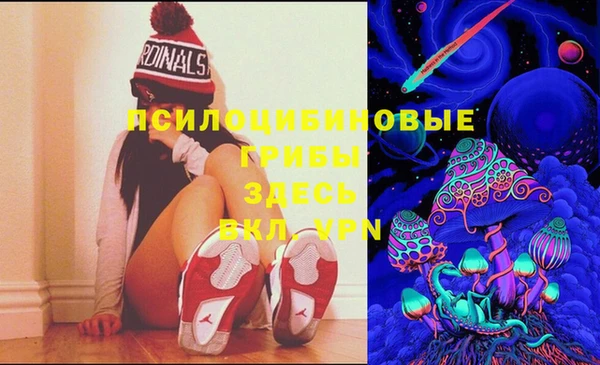 mix Алексеевка