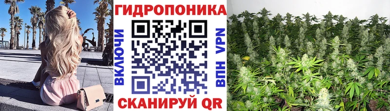 купить наркотики цена  Солнечногорск  мега ССЫЛКА  Конопля тримм 